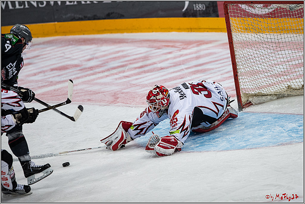 DEL, Koelner Haie - Fishtown Pinguins Bremerhaven, 29.01.2017